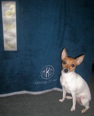 HollysMom